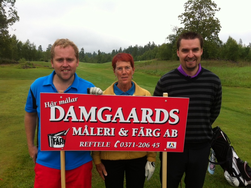 Damgaards måleri 6+ 6+ 6 2014