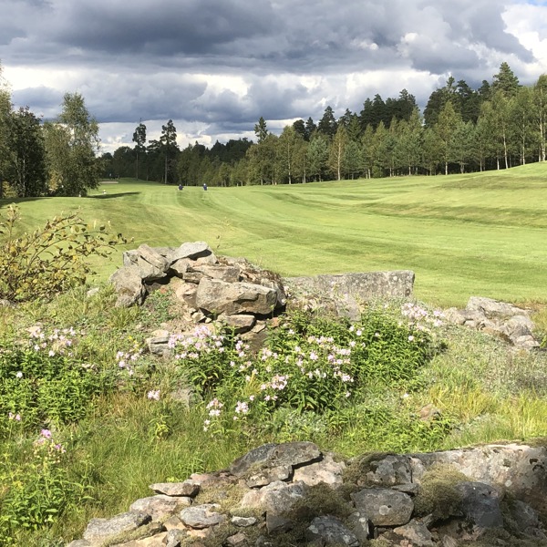 Hole 01 Stone