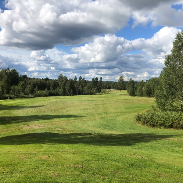 Hole 07 Teeyellow