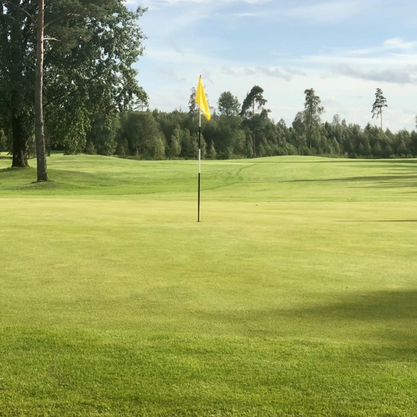 Hole 14 Green